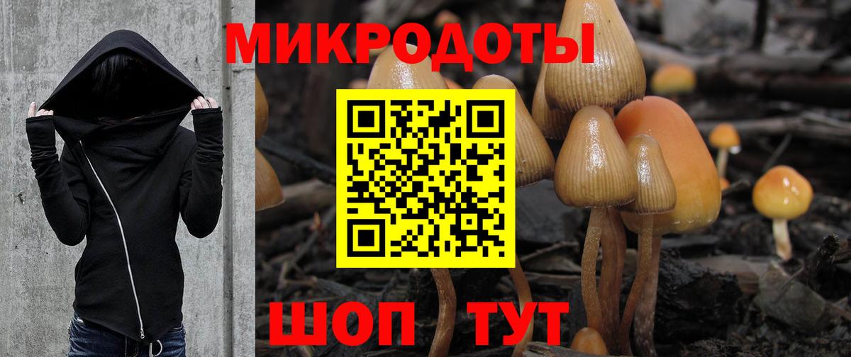Галлюциногенные грибы мухоморы Пенза